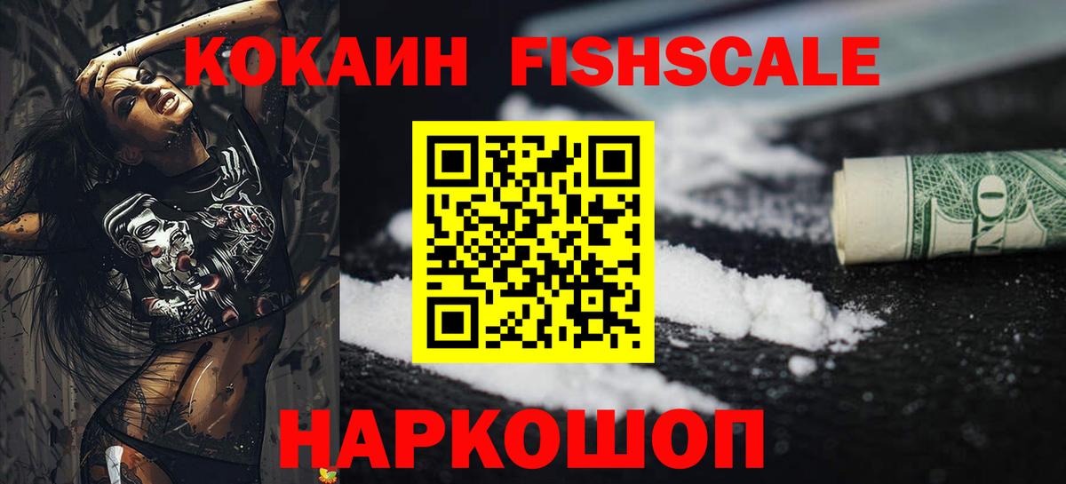 Cocaine FishScale  Вход с VPN  Киселёвск 