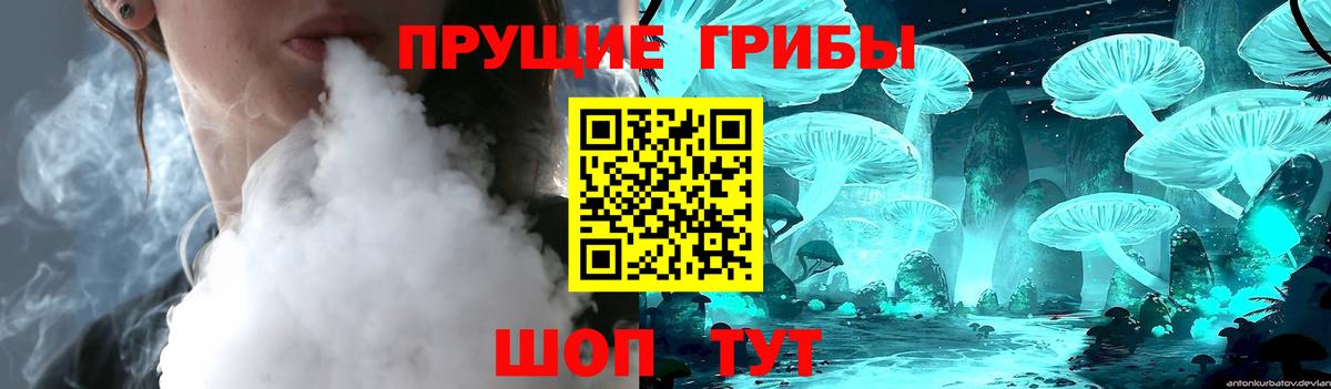 Киселёвск  Галлюциногенные грибы мухоморы  Вход с VPN 