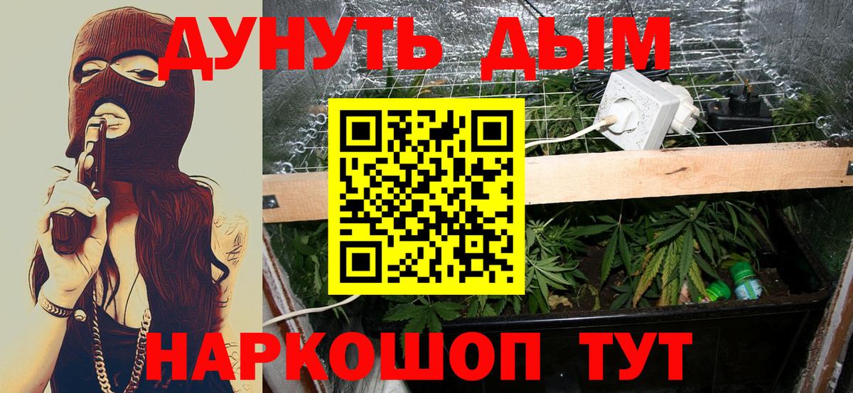 Киселёвск  Канабис VHQ  МАРИХУАНА Ganja  Вход с VPN  Каннабис VHQ  Канабис SATIVA & INDICA 